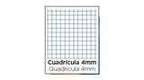 Bloc De Notas A5 4x4 mm 80 Hojas 60 gr - Enri