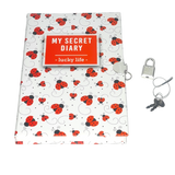 Diario secreto mariquitas Alex Bog con candado en Badajoz