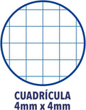 Recambio Oxfod A4 - 4 Taladros 90 gr Cuadrícula 4x4 mm - 120 Hojas
